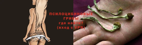 2c-b Осташков