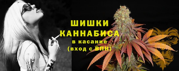 2c-b Осташков