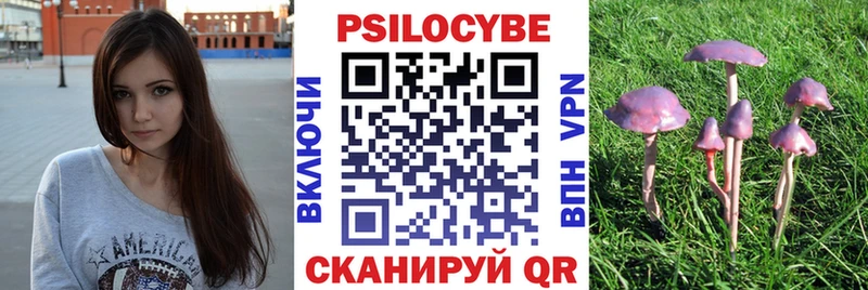 даркнет сайт  kraken ССЫЛКА  Псилоцибиновые грибы MAGIC MUSHROOMS  Котельнич 